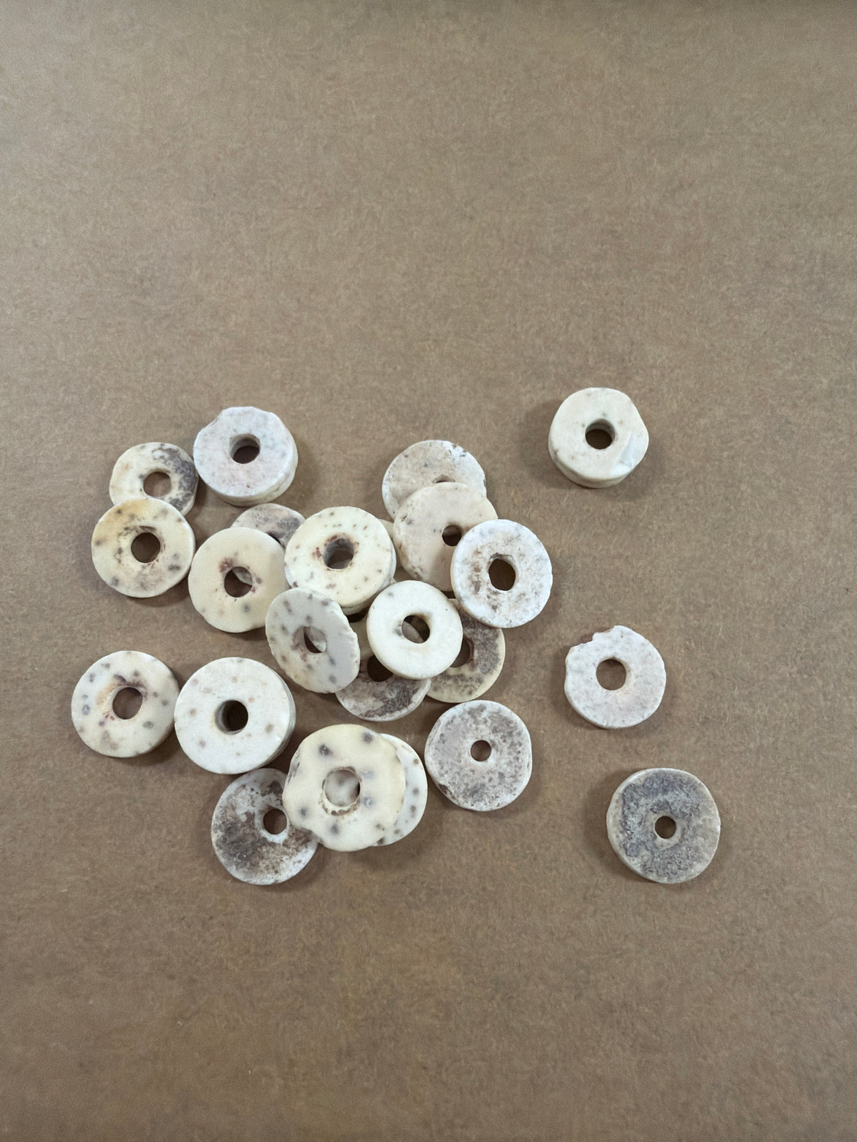 Other Shell/Bone Beads